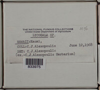 Image Associated With the Occurence